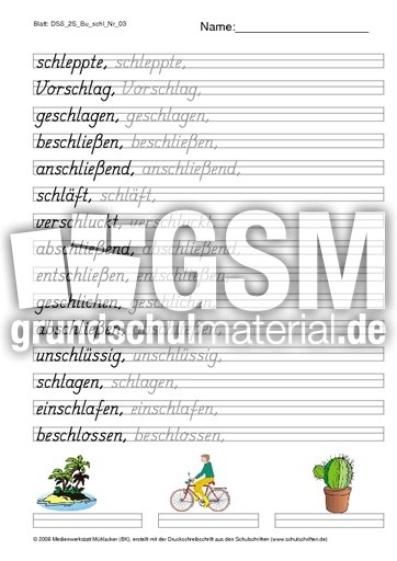 DSS_2S_Bu_schl_Nr_03.pdf